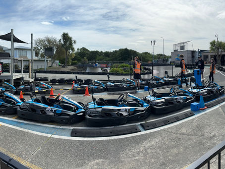 SODI RT8 RENTAL GO KARTS FOR SALE
