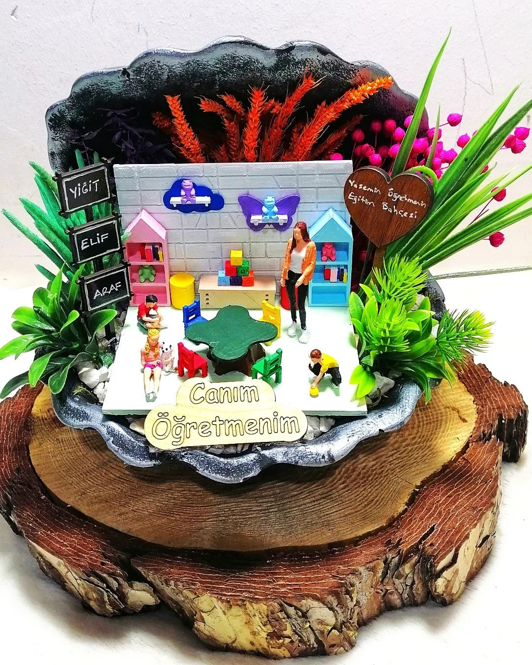 Ana sınıfı İsdiridye Teraryum