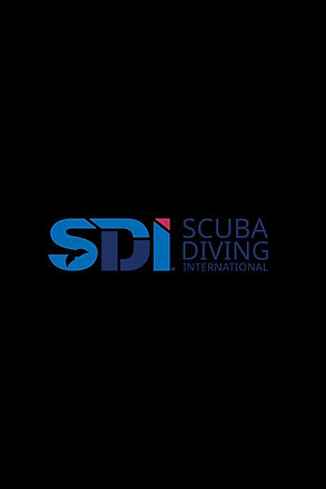 LOGO SDI Long.jpg