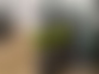 The Essential Guide to the Benefits of Nitrox Diving for Students