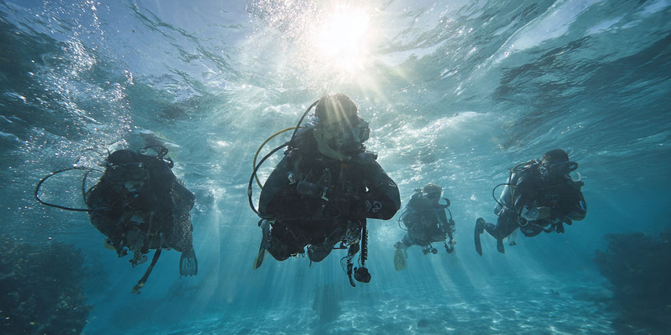 A group of divers explores the underwater world, silhouetted against the sunlight streaming through the crystal-clear water.