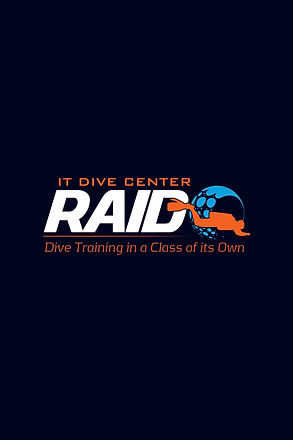 RAID_LOGO Blue Long.jpg