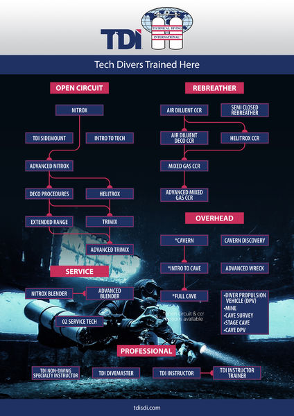 TDI-Flowchart-Banner-A0-841mmx1189mm.jpg