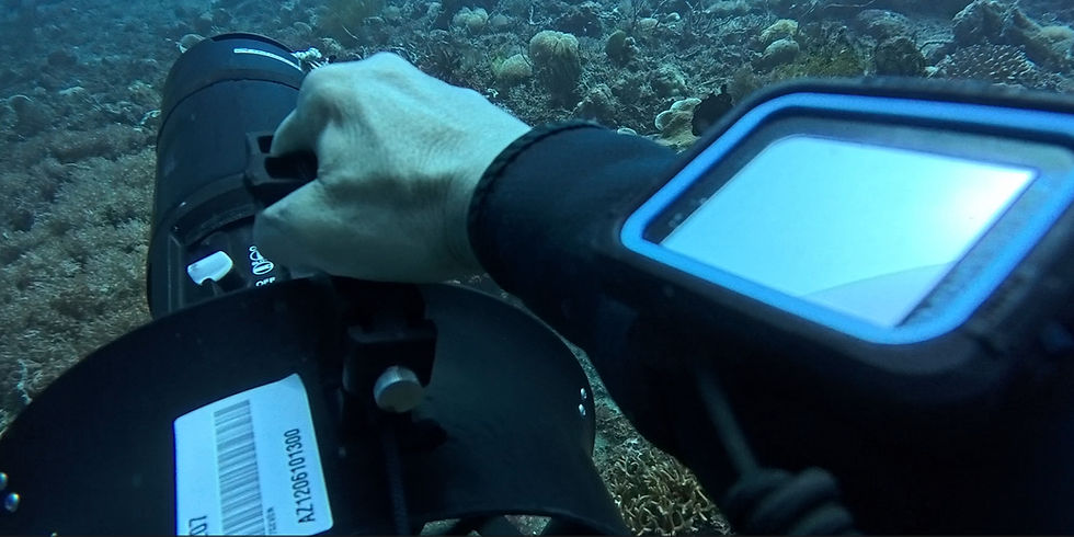 Close-up view of a diver holding a compact diver propulsion vehicle with underwater camera gear