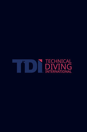 LOGO TDI Long.jpg