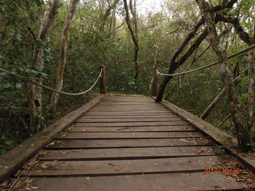 Cuencas de Percepción Paisaje Protegido Quebrada de los Cuervos