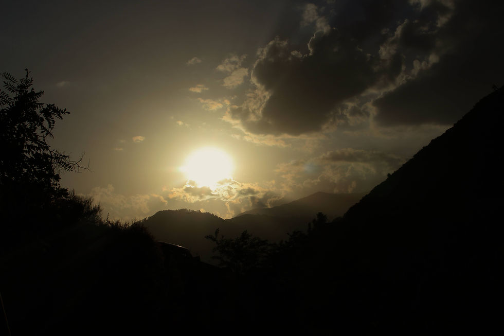 IMG_4567.jpg