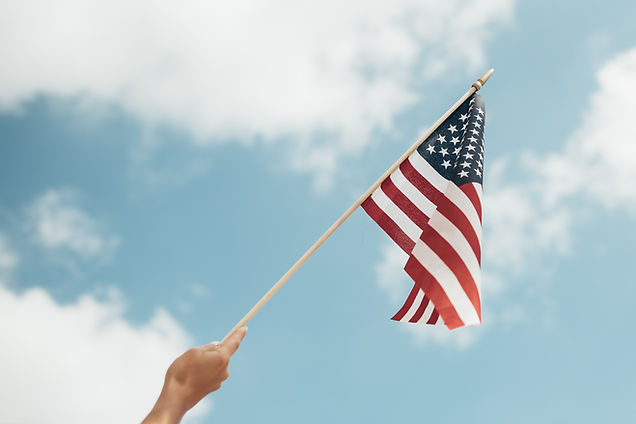 Hand Holding Flag