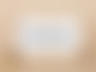 NOVEMBER MONTHLY NEWSLETTER RECAP