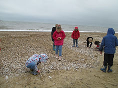 IMG_0942.JPG