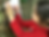 20250618_103832606_iOS