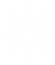 IMG_3442.PNG