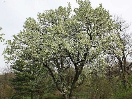 Entry date: 9-4-2023 – Happy Labor Day version of The Bet – Letters to My Friends