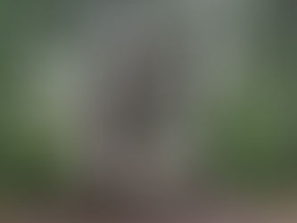 Entry date: 7-17-2023 – Bangor? I don’t even know her – Letters to My Friends