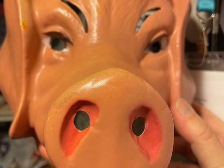 Entry date: 3-5-2024 – Sad Tale of Cocaine Baby – Letters to My Friends