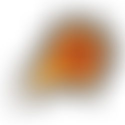 Entry date: 1-6-2022 - It started with the Skyhawk Flight - Letters to My Friends