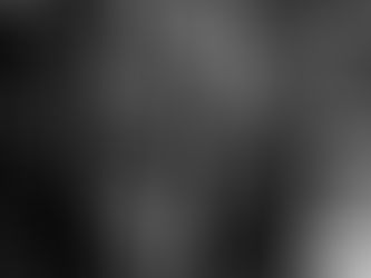 Entry date: 1-17-2024 – Woolly Mammoths and Rice – Letters to My Friends