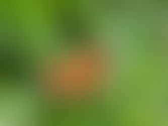 Entry date: 7-29-2023 – Welcome to the World – Letters to My Friends