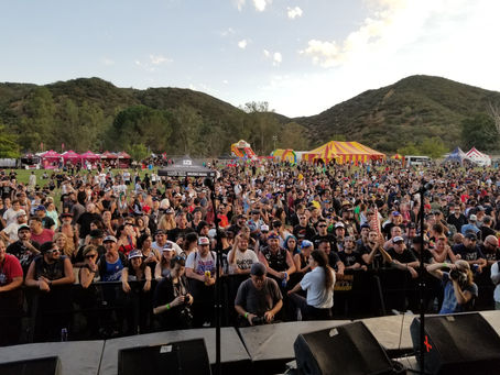 Entry date: 8-20-2022 - The Weekend is bitchy - Letters to My Friends