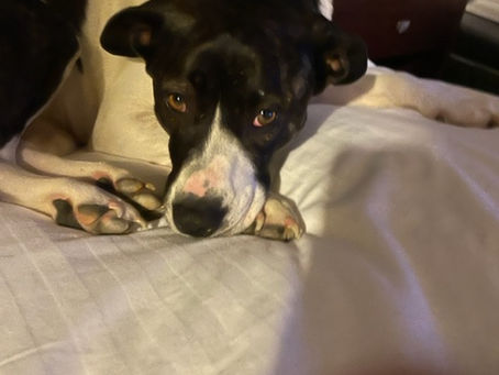 Entry date: 10-15-2023 – Random Thoughts on a Sunday Morning (the bet) – Letters to My Friends