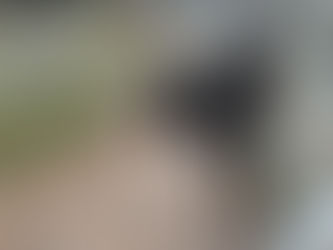 Entry date: 5-27-22 - Goats and Pool Safety - Letters to My Friends