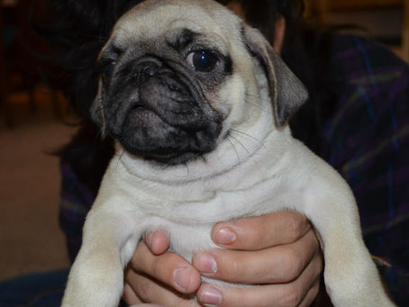 Entry date: 3-16-2023 - Random Stuff (and Mary) - Letters to My Friends