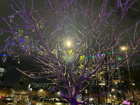 Entry date: 3-20-2024 – Meetings to Meet and do Meeting Stuff – Letters to My Friends