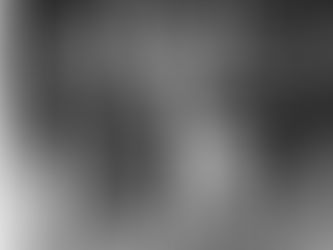 Entry date: 7-28-2022 - Desperados (a continuation of a true story) - Letters to My Friends