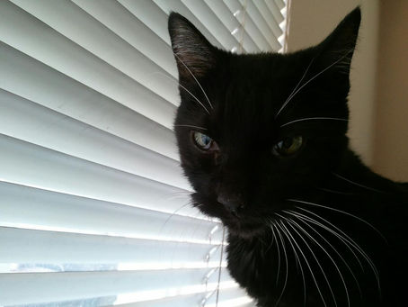 Entry date: 11-27-2022 - Random Notes on a Sunday - Letters to My Friends