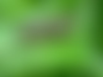 Entry date: 7-18-2023 – Rest and Relax (and The Bet) – Letters to My Friends