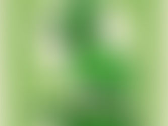 Entry date: 11-12-2024 – I’m Just A Regular Guy – Letters to My Friends