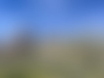 Entry date: 3-15-2024 – The Ides of March (the Bet) – Letters to My Friends