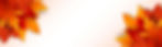 3d-autumn-foliage-on-white-background-banner-with-fall-leaves-and-place-for-text-vector.jp