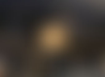 FORESTPROバージョンアップ