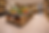 AA0B3C49-9343-470E-8768-CF25CCF3A013.PNG