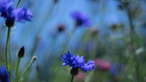 The love that lifts us out of self-hatred