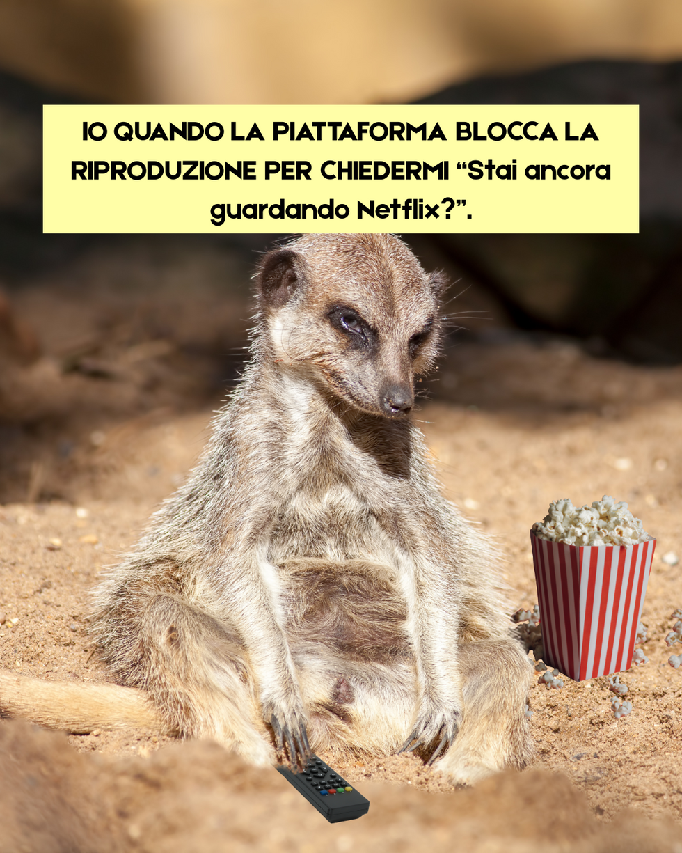 Post 4 MEME #SerialMood
