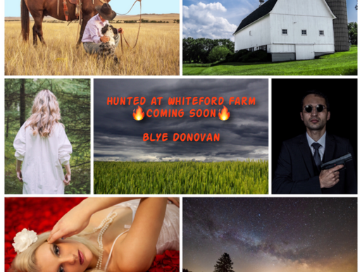 DEBUT NOVEL INSPIRATION  