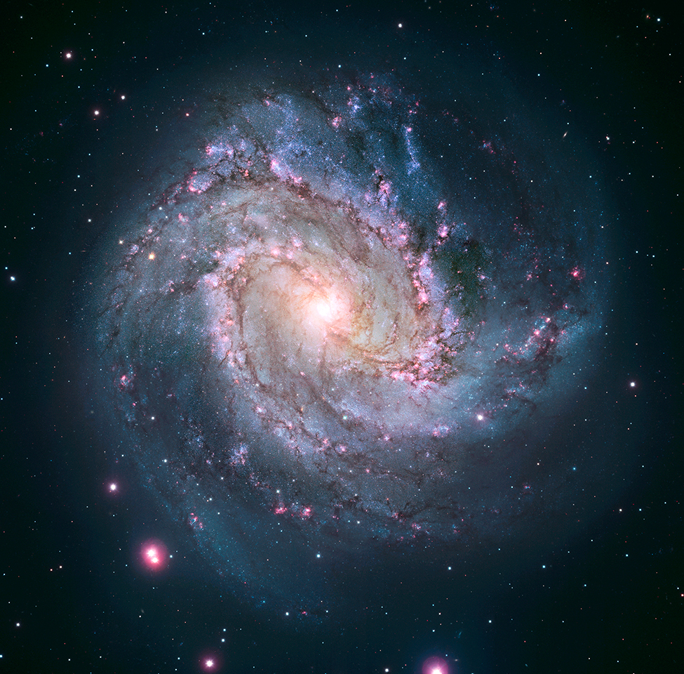 Woman with artichoke.jpg