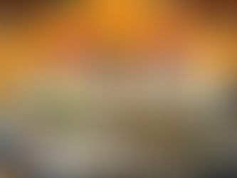 XVe législature: Liste Intégrale des députés