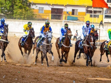 Courses hippiques - Grand Prix Macktoum : El Capo domine ses concurrents