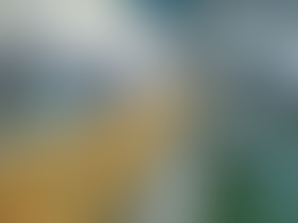 Maroc : Hausse de 2,4% du chiffre d’affaires de la société Cartier Saada au deuxième trimestre 2024/2025.