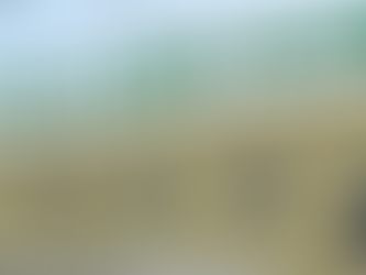 Grève à l'hôpital Albert Royer : une réunion déterminante prévue pour lundi prochain.