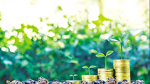 Why our renewable energy sector falls behind