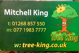 tree king.jpg