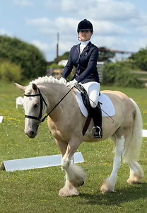 dressage .jpg