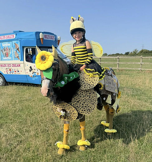 fancy dress.jpeg