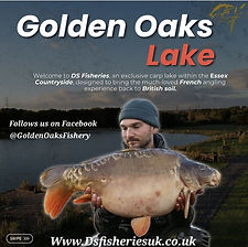 golden oaks.jpg