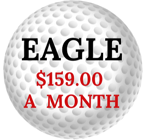 Membership Flyer_edited_edited_edited.pn