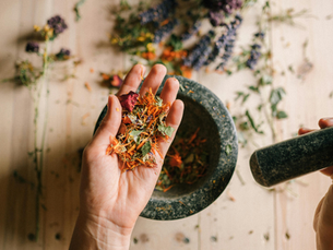 Hands hold dried flowers above a stone mortar on a wooden table. Vibrant petals scattered around create a rustic, natural atmosphere.